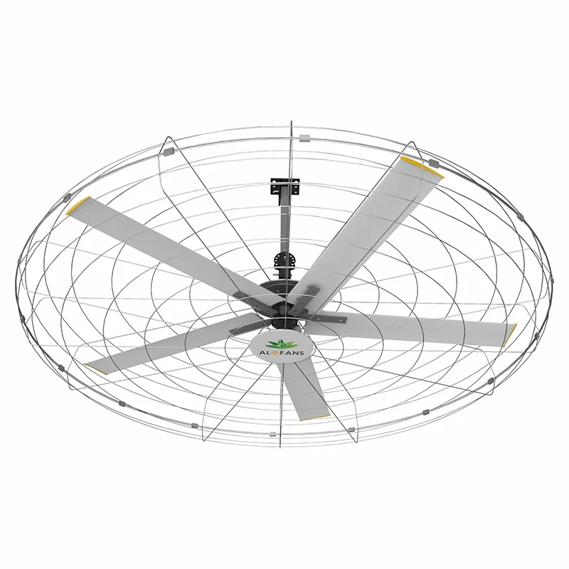 Fitness Wall Fans