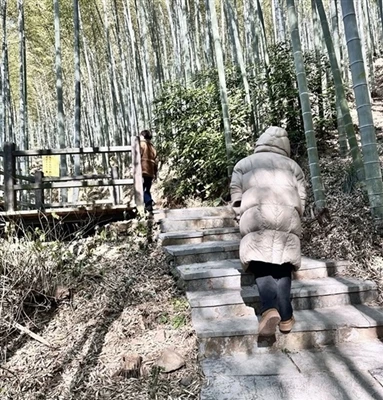 New Year's Hiking Activity
