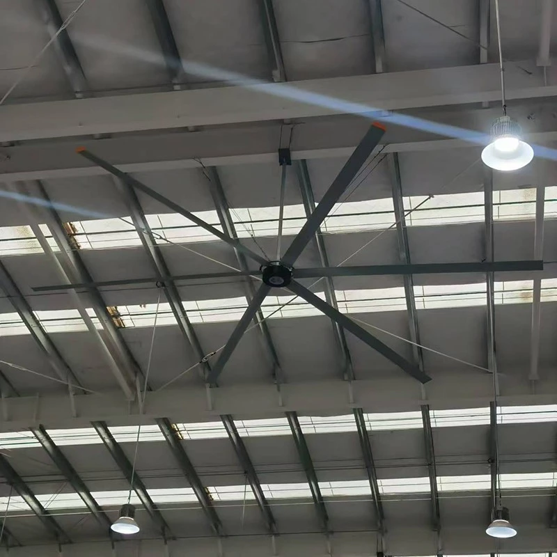 Showroom Fans Showroom Fans