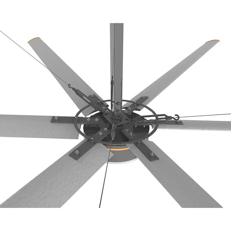 Showroom Fans