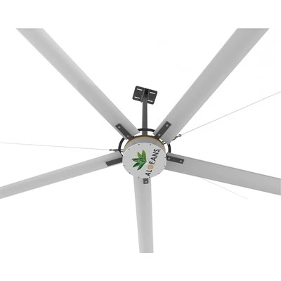 High-Airflow Barn Ceiling Fan for Stable Ventilation & Humidity Control