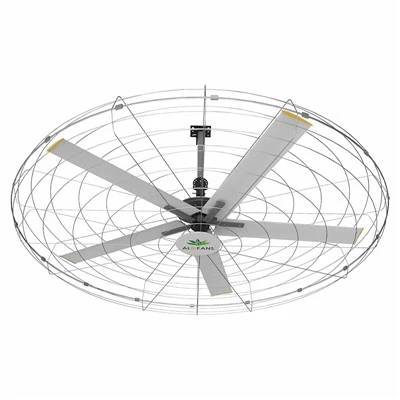 Fitness Wall Fans