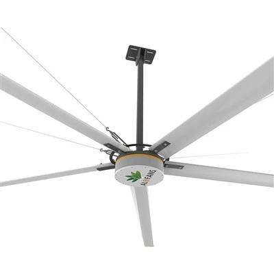 Green House Ceiling Fans