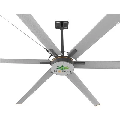Showroom Fans